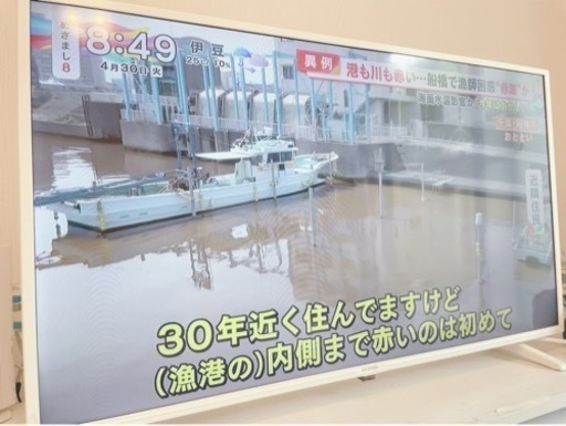 当日OK!40型！ホワイトテレビ