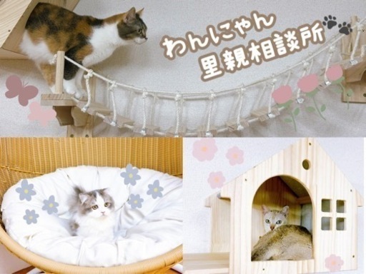 わんわん さま 蹴ら -専用ページ-