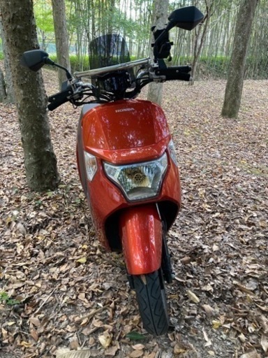 バイク ホンダダンク