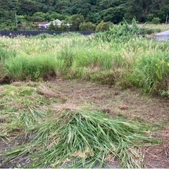 【商談中】整地のお願い