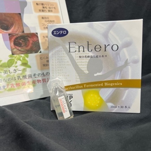 腸活　乳酸菌生産物質