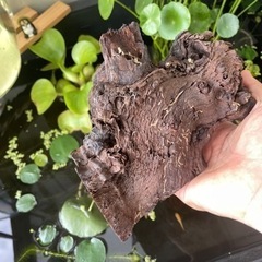 岡山県 倉敷市のアクアリウムの中古が安い！激安で譲ります・無料で  