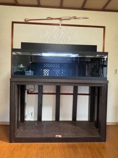 水槽　受け渡し予定者決まりました！