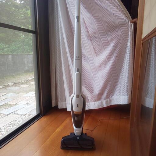 家電 生活家電 掃除機