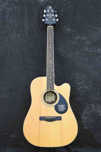 アコギ　グレッグ・ベネット エレアコ Greg Bennett GD-100RSCE/NS