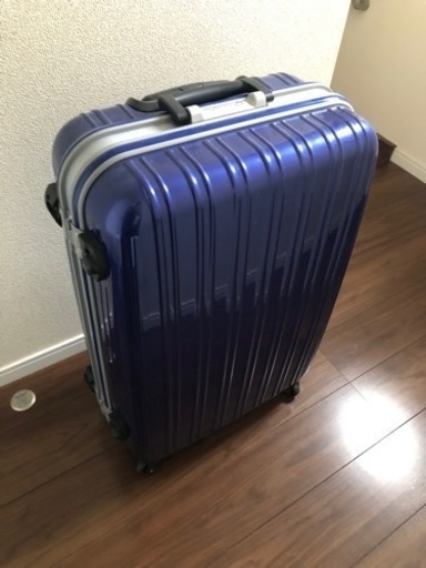 キャリーケース横46cm奥行き24cm高さ75cm