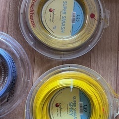 テニス　硬式　ポリエステル ガット　スーパースマッシュスパイキーなど