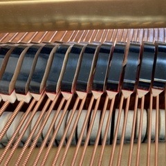 YAMAHA G2A1961年全弦（ドイツ）ハンマー（ドイツ）、鍵盤、ダンパー交換済