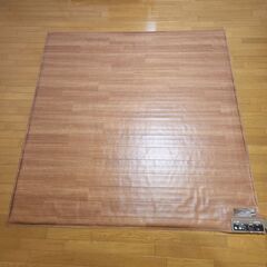 Panasonic（パナソニック） かんたん床暖 DC-2V2
