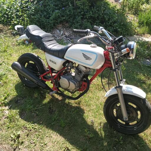 ホンダエイプ50 (three dice) 川越のバイクの中古あげます・譲ります｜ジモティーで不用品の処分