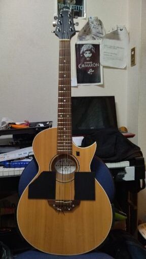 グラスルーツ　エレガットギター(Designed by ESP in Tokyo)　G−AC−50N