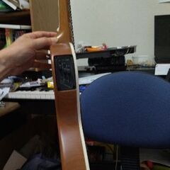 グラスルーツ エレガットギター(Designed by ESP in Tokyo) G−AC−50N