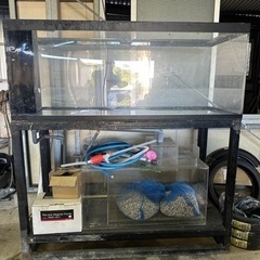 値下げしました。アクリル水槽150cm濾過層付き