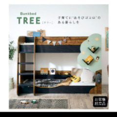 二段ベッド【解体作業して頂けるなら、無料でお譲り致します】