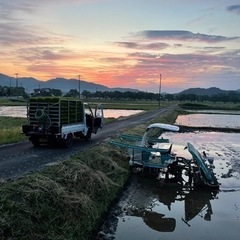 令和5年産　コシヒカリ