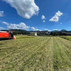 令和5年産　コシヒカリ