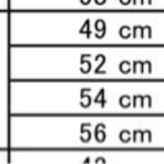 FUJI TRACK ARCV フレームセット52サイズ　おまけ付