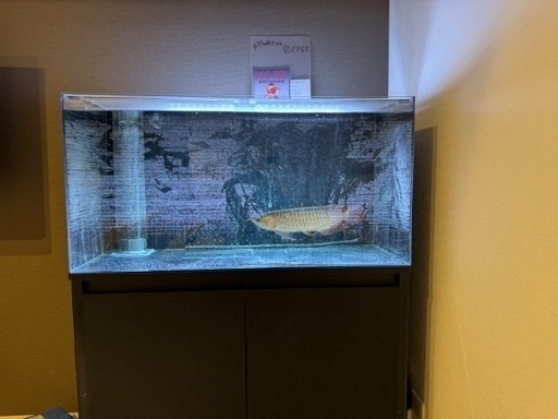アクリルオーバーフロー水槽 900×450×450 水槽台 濾過層 ポンプ セット