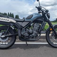 XJR1300 キャブ最終型RP03j カスタム多数 (プーチン) 上伊集院のヤマハの中古あげます・譲ります｜ジモティーで不用品の処分