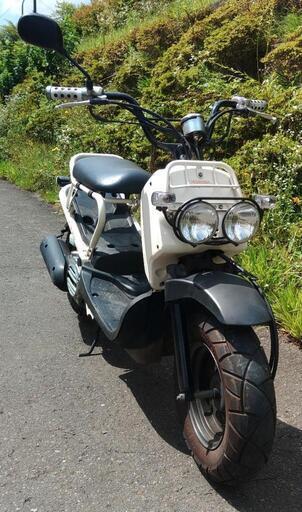 ズーマー　白　(No.2185) ズーマー 白 (No.2185)