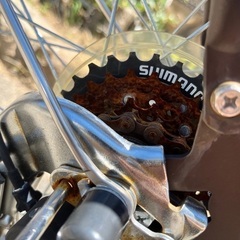 子ども乗せ自転車(非電動です)