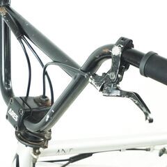 ARESBIKES 「アーレスバイク」 ADIT 2017年モデル キッズBMX