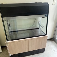 業務用 冷蔵ショーケース ホシザキ
