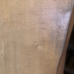 栃／トチ／カウンター材