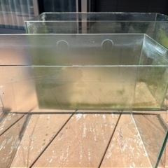 アクアリウム 60cm水槽、水槽台、外部フィルター、リリィパイプ、照明