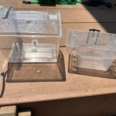 アクアリウム 60cm水槽、水槽台、外部フィルター、リリィパイプ、照明