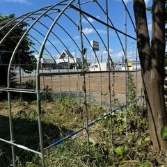 ビニールハウス骨組　受け渡し予定者決定 ビニールハウス骨組 受け渡し予定者決定