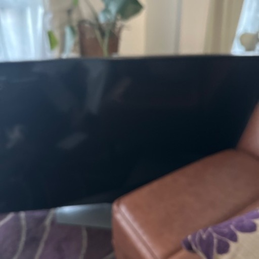 家電 テレビ 液晶テレビ