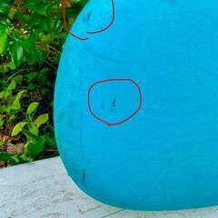 お子様の練習に！　SUP サップボード パドルボード ソフトボード DIAMOND HEAD