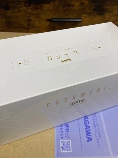 日本製紙   株主優待 カシミヤスコッティ