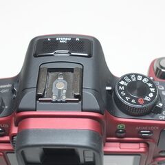 Panasonic/LUMIX DMC-GH1/ボディ/ミラーレス一眼 ④