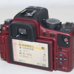 Panasonic/LUMIX DMC-GH1/ボディ/ミラーレス一眼 ④