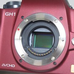 Panasonic/LUMIX DMC-GH1/ボディ/ミラーレス一眼 ④