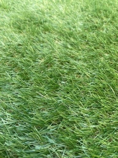 値引きしました】人工芝