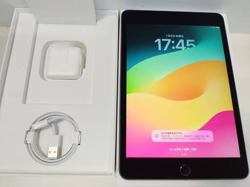 【SIMフリー】iPad mini 第5世代/256GB/A2124〈MUXC2J/A〉