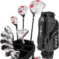 WORLD EAGLE(ワールドイーグル) F-01α メンズ ゴルフ フルクラブ セット【右用】フレックスR WE-J-F-01-MRH-R