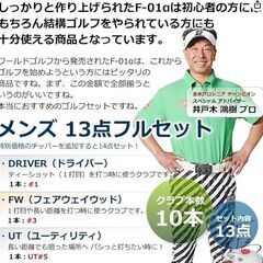 WORLD EAGLE(ワールドイーグル) F-01α メンズ ゴルフ フルクラブ セット【右用】フレックスR WE-J-F-01-MRH-R