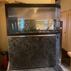 ☆引き取り限定 大型 生簀 水槽 動作確認済み