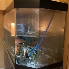 ☆引き取り限定 大型 生簀 水槽 動作確認済み