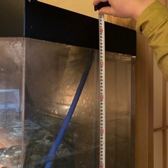 水槽の追加画像です
