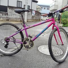 Miyata Team Limited マウンテンバイク 26インチ Miyata Team Limited マウンテンバイク 26インチ 2025年最新】MIYATA