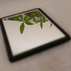 BOTTEGA VENETA ボッテガ ロゴ レザー 長財布 ブラウン ミラー付