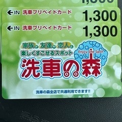 ガソリンプリカ 2万円分➕洗車プリカ