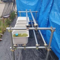 ◎受け渡し者決定◎めだか飼育棚（単管パイプ）