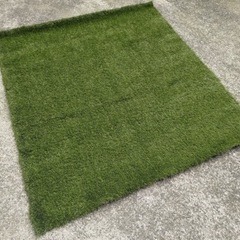 天然芝の中古が安い！激安で譲ります・無料であげます(2ページ目  