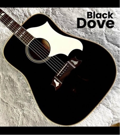 値下 希少 日本製 MIJ Black DOVE model Aria Pro II 楽器 弦楽器、ギター